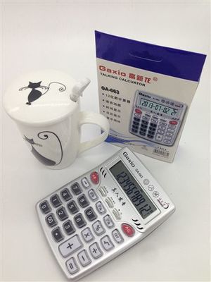 高新龙语音计算器GA-663 义乌好文客文化用品专业批发，12元/件起