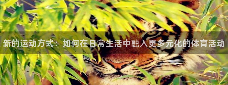 24体育免费直播女足亚洲杯：新的运动方式：如何在日常生活中融入更多元化的体育活动