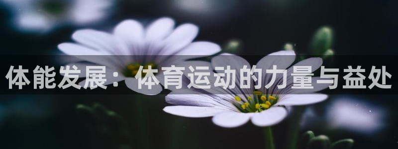 24体育下载