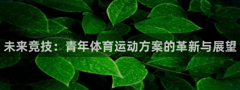 24体育赛事直播：未来竞技：青年体育运动方案的革新与展望